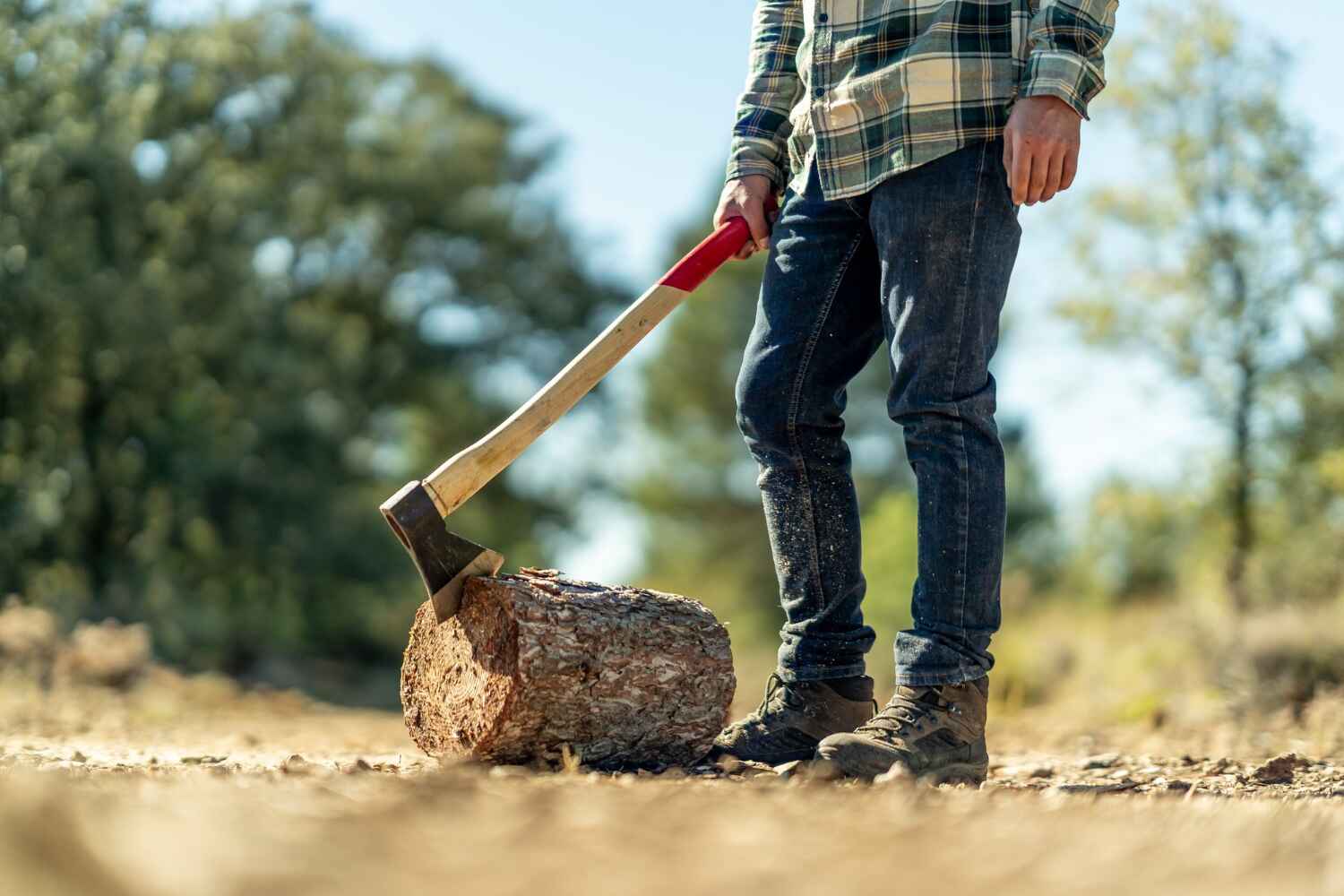 Best Dead Tree Removal  in Clinton, MO